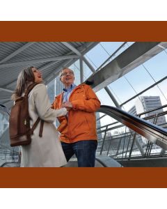 SimplyGo Mini Backpack - Brown